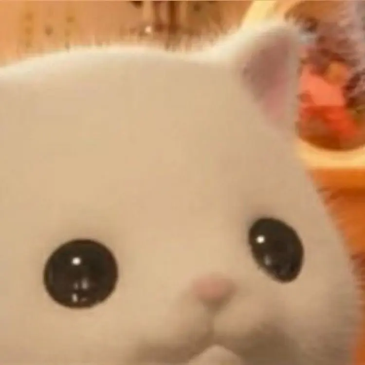 was-youth의 너가 너무너무 좋아..