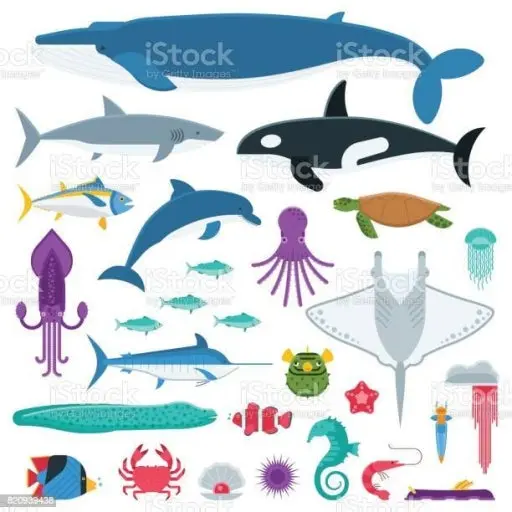 Crossbowcultist의 바다생물