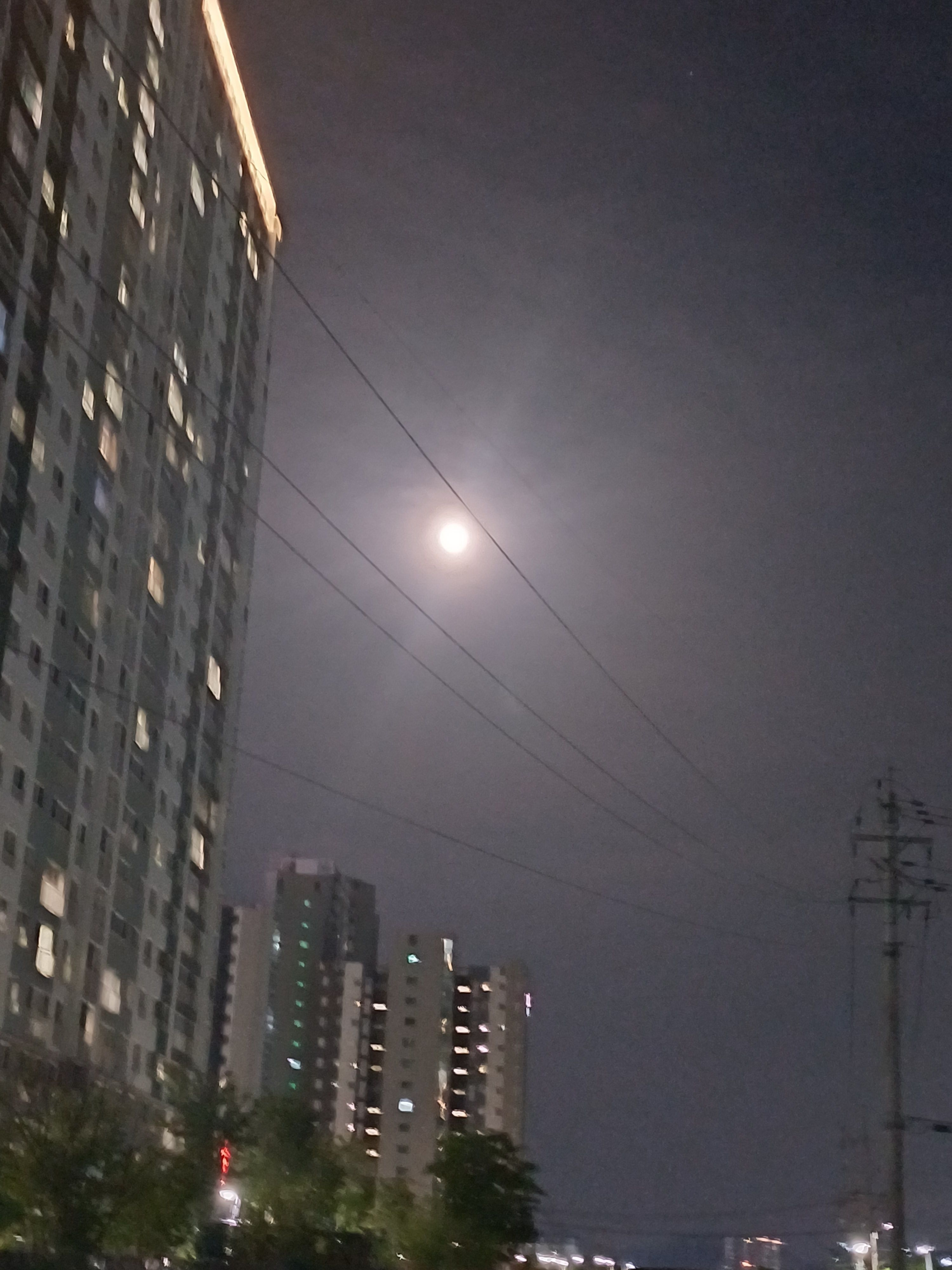 제가 좋아하는 유튜버 다 때려박음 대표 이미지