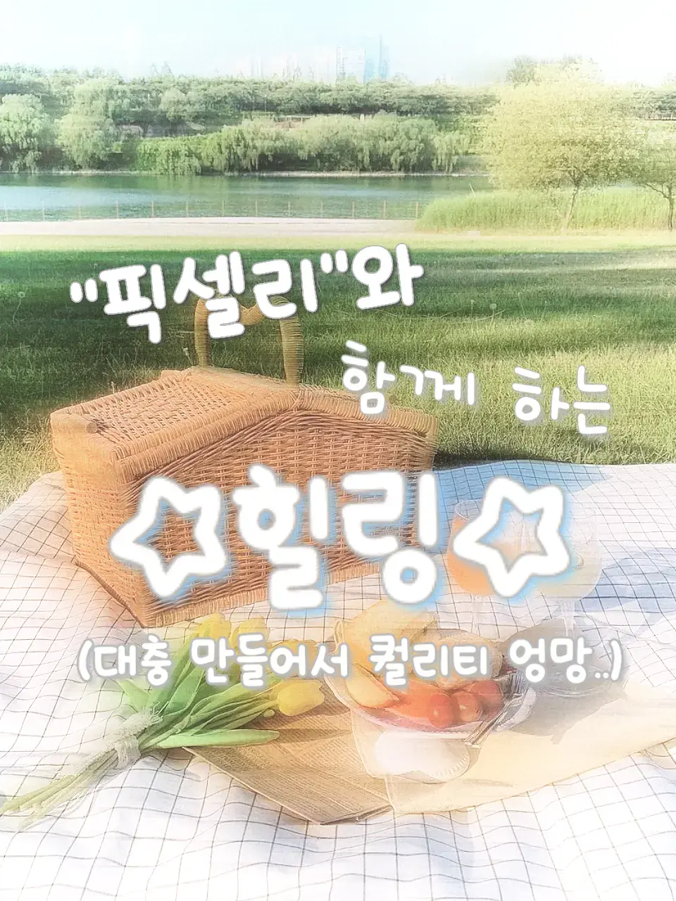 SicklySeal9837의 <픽셀리와 함께하는 힐링>