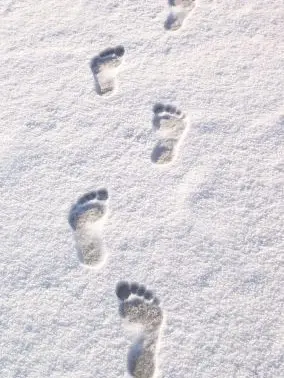 MutedPoem7796의 여기 떨어진 이 사랑이