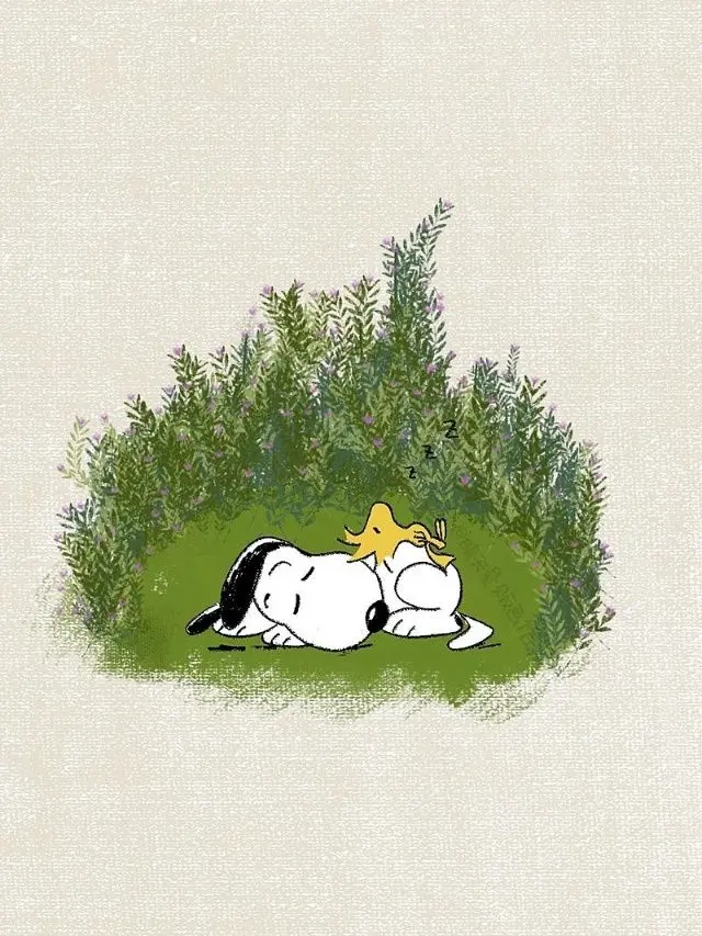 SomeoneobsessedwithBOYNEXTDOOR의 ver. 옆집에 이상한 애들이 산다3