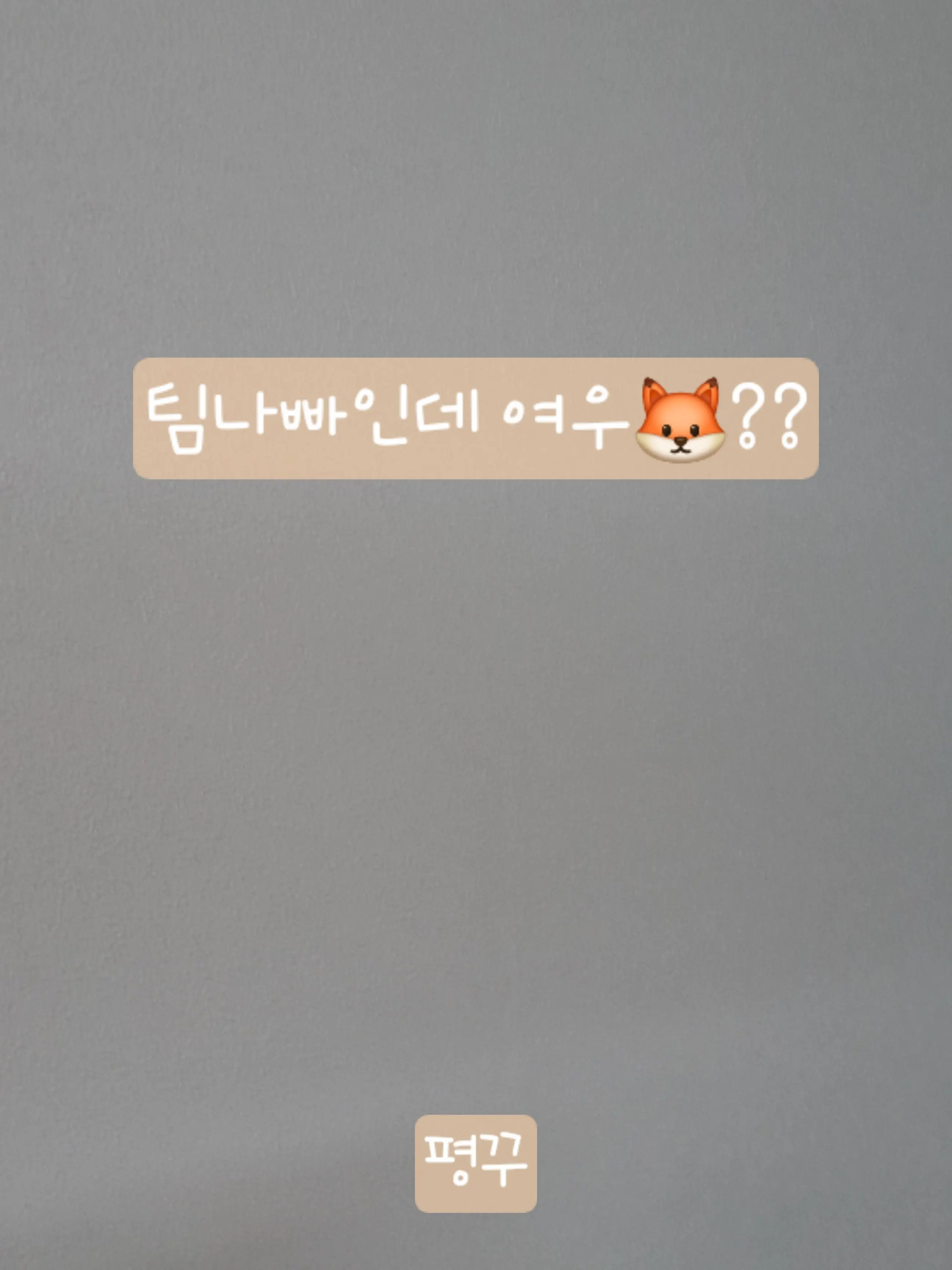 _EIEI_의 팀나빠인데 여우🦊??
