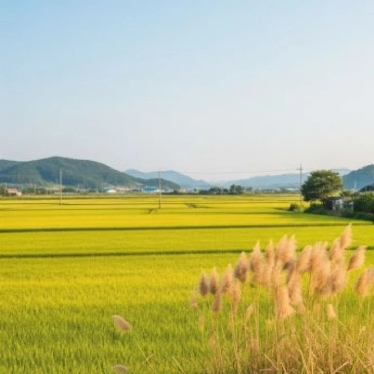 내가 하려고 만든 시골 감자 남사친~
