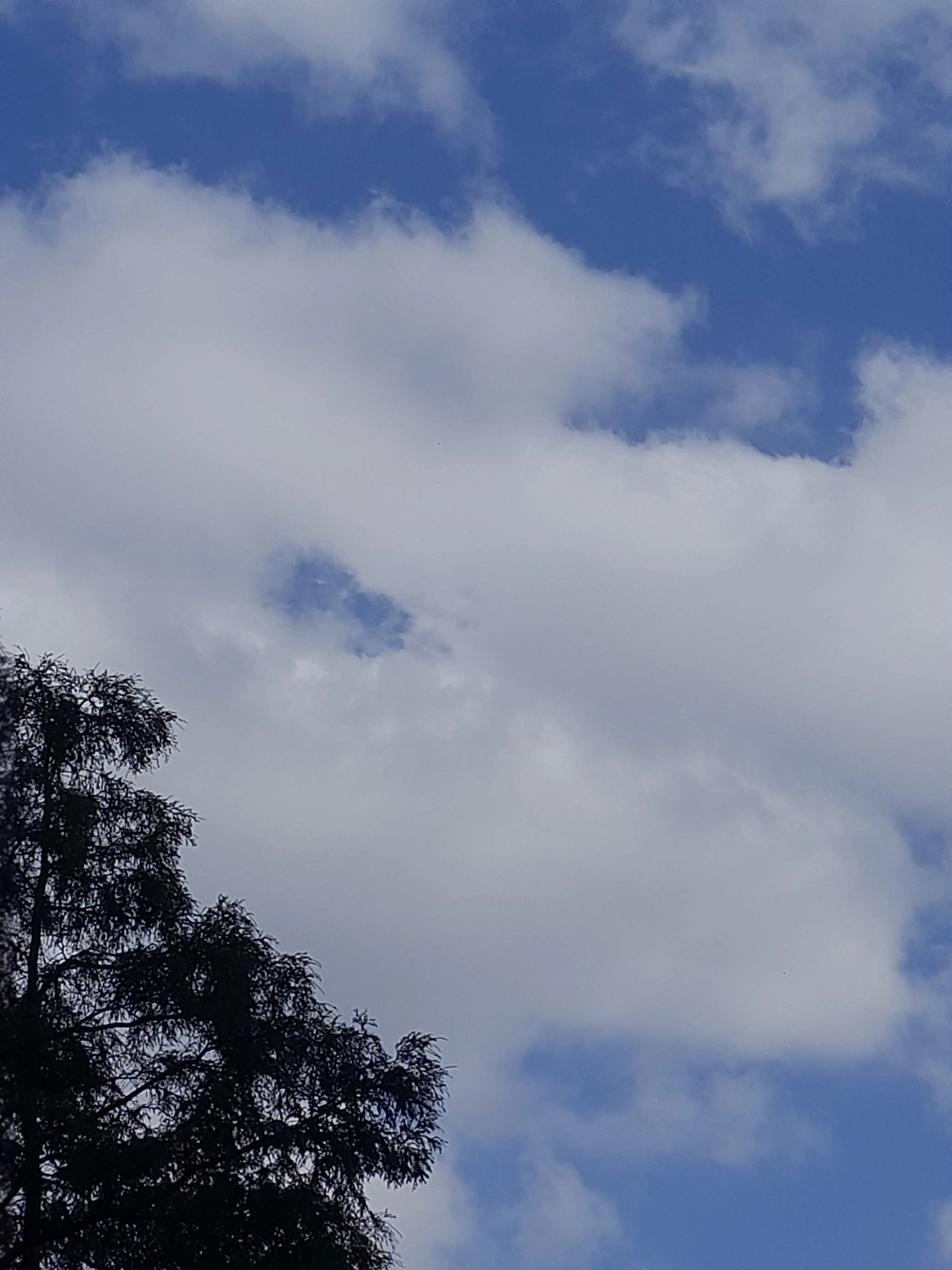 9210의 너의 길이 되기를(뜰팁)