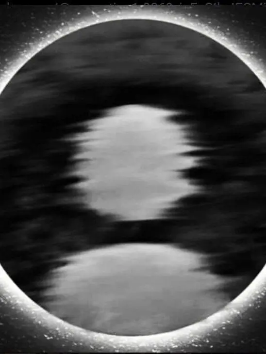 HarshShark7818의 미수반