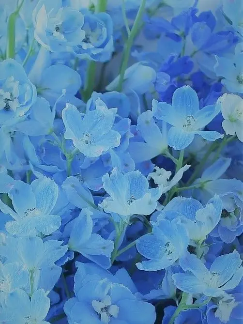 PlumpLady2516의 白蛇の神様