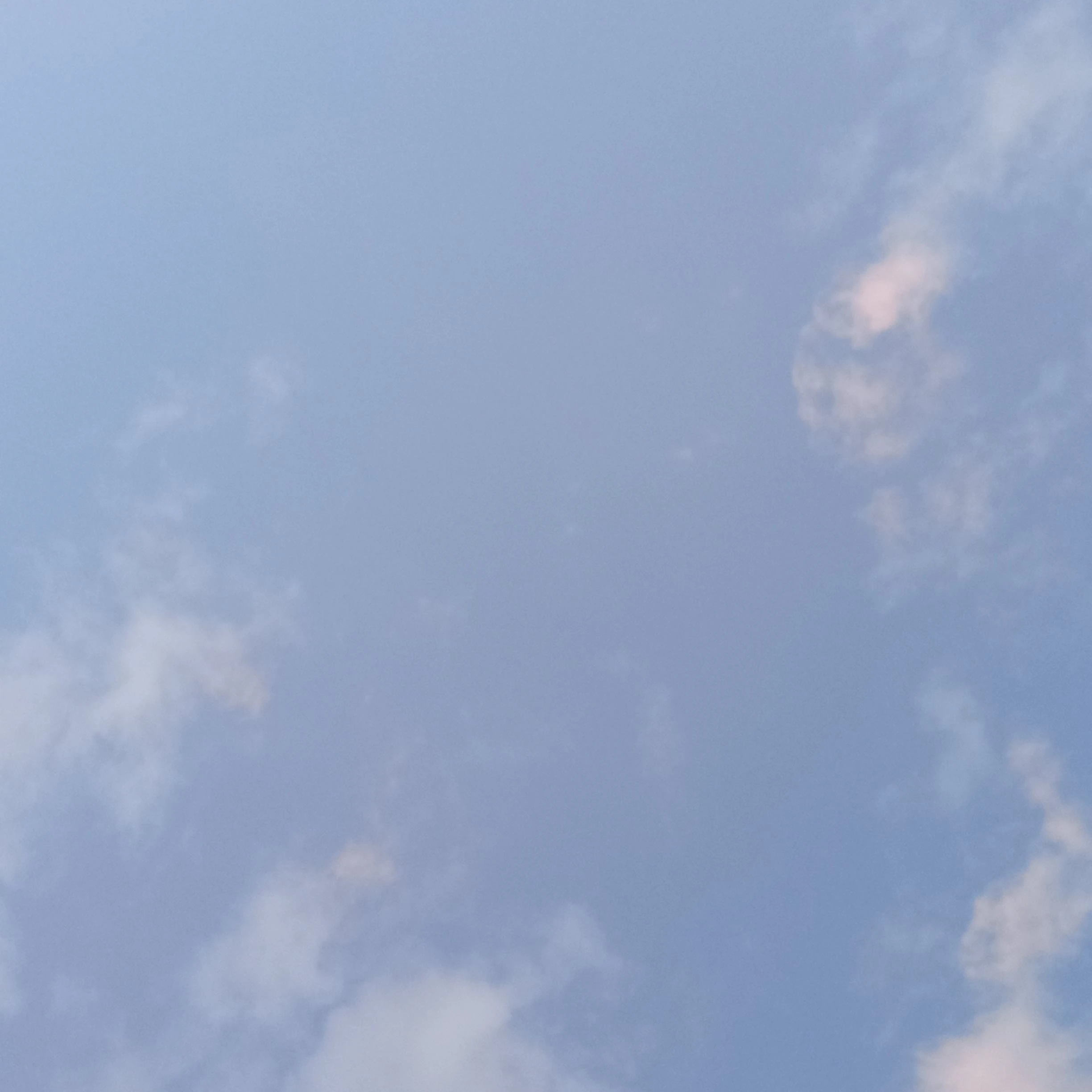 뜰팁 고등학교(이번엔 당신이 여우!)