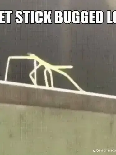 Kirbysuki의 男なのにぃ