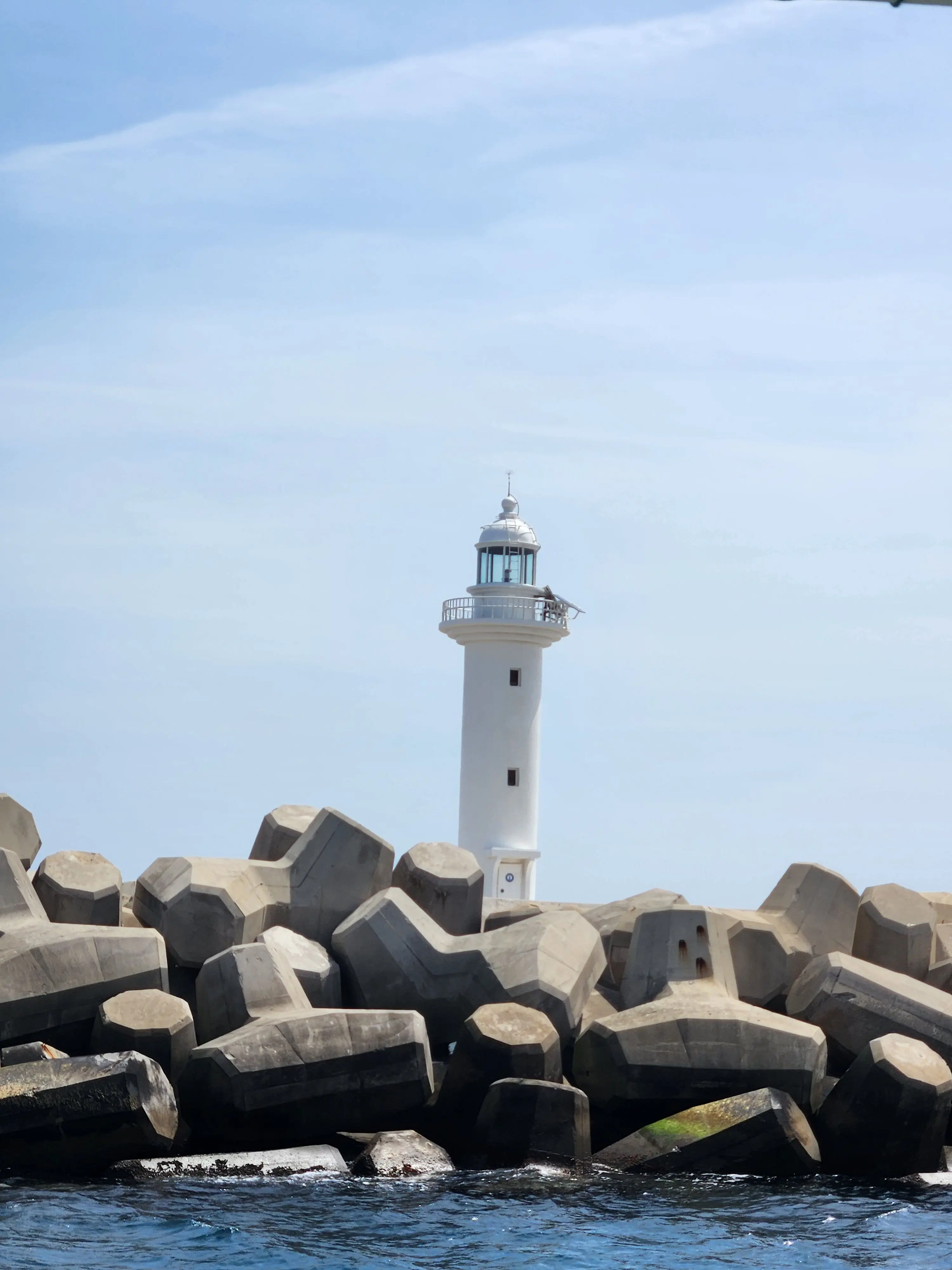 REYI_0819의 Q. 대장님께 관심 받는 법이 뭔가요