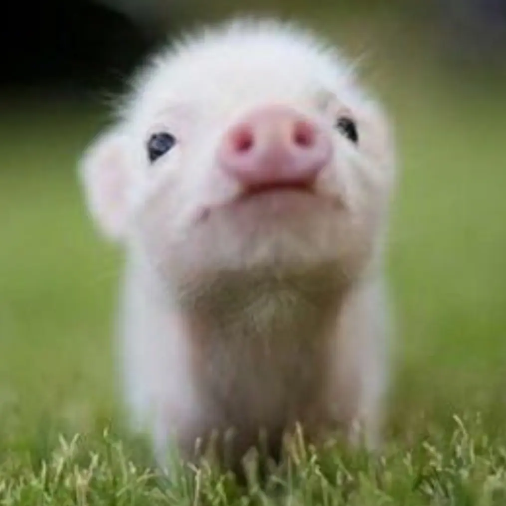 PuristGhost5147의 이효진