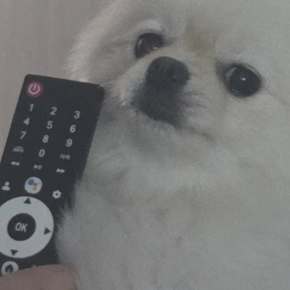 덕개는 강쥐