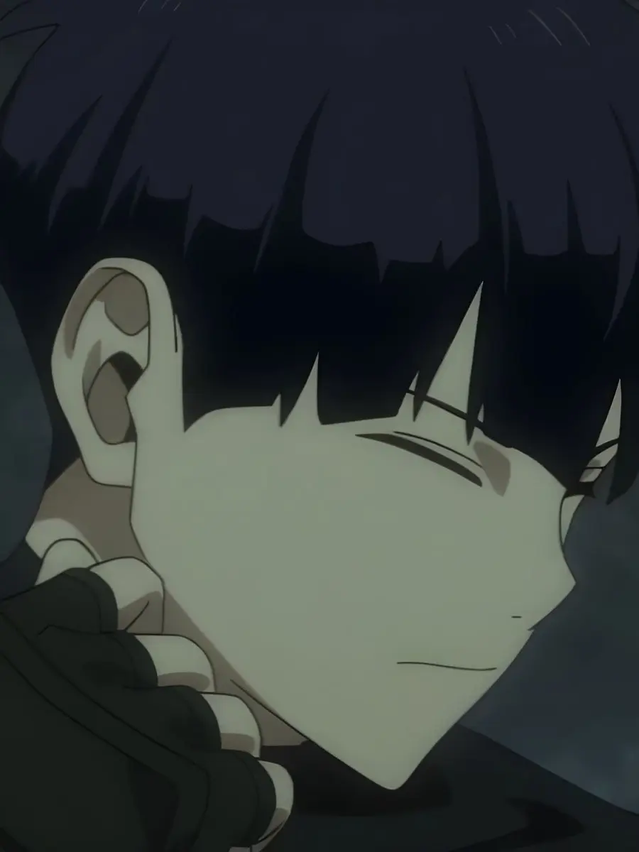 novemzy의 호시나와 여우