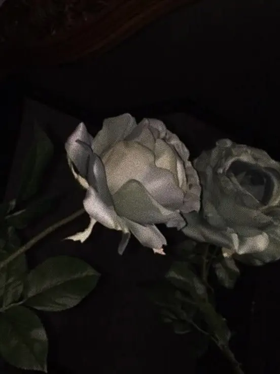 113h의 내가 널 구원할 수 있을까.