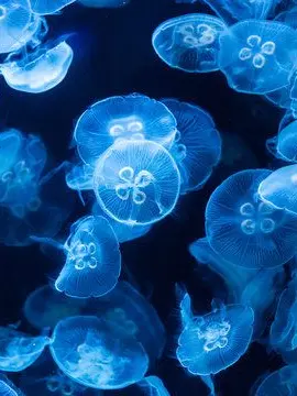 UnfitQuake2850의 君の亡霊