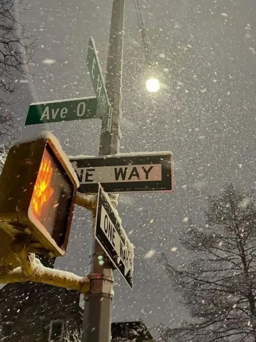 Paradise_001의 까칠한 도련님들.