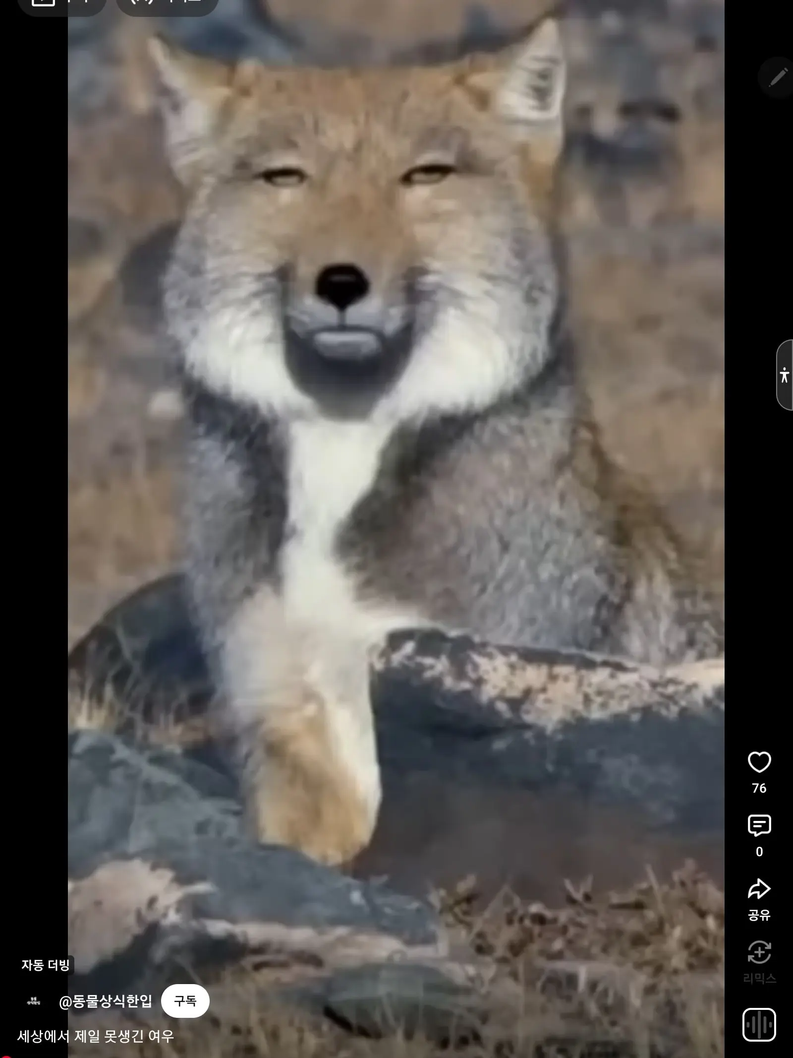 dhfflqj의 여우가 에스크한테 누명씌운다??!!