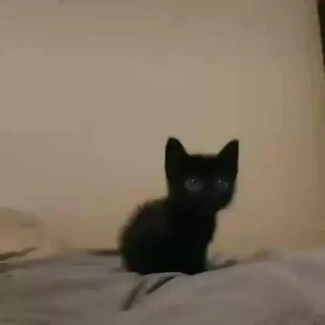 GreasyLeech8191의 ホストクラブで働いてますけど？