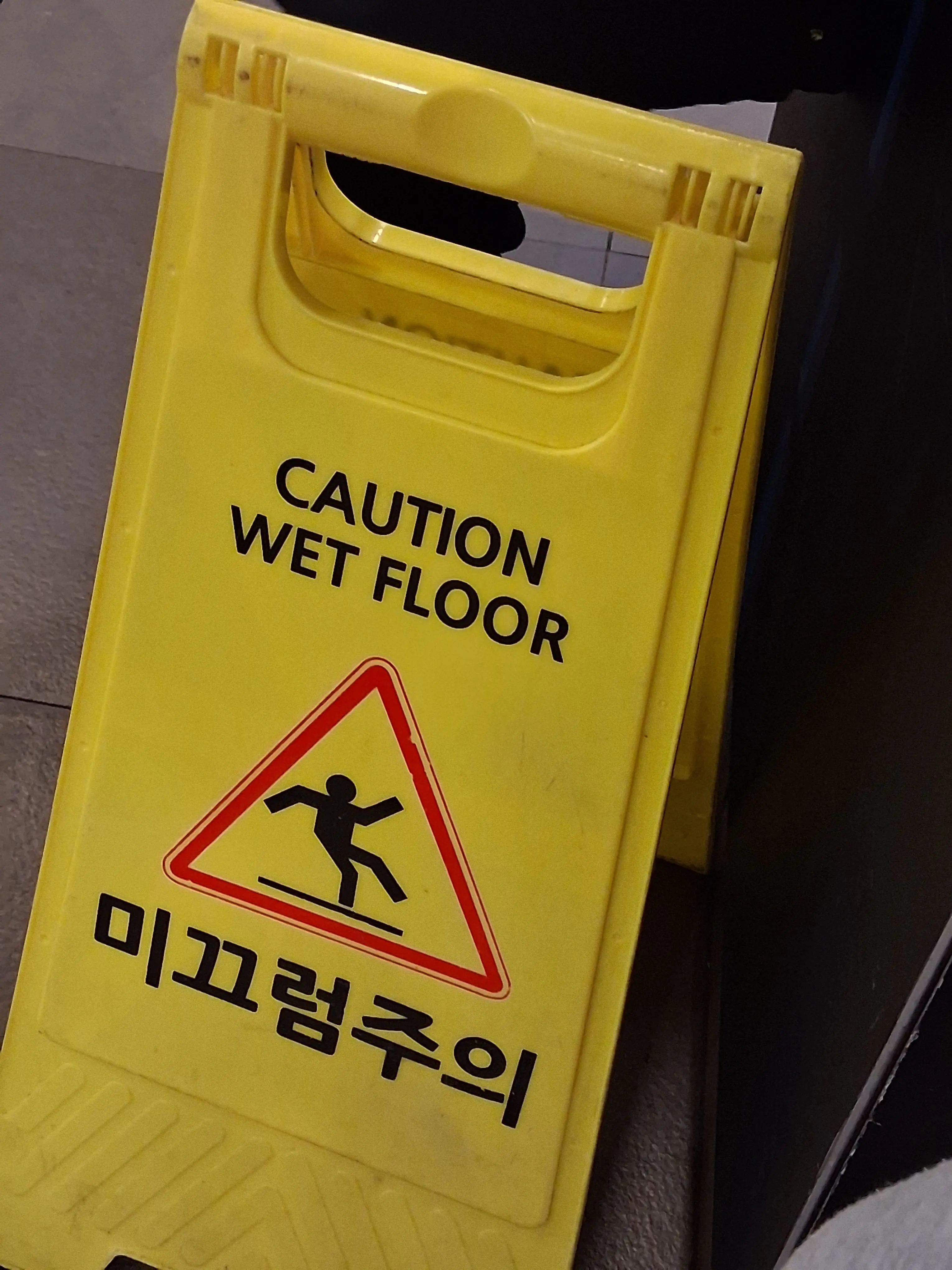 seoyun1408의 고냉이들