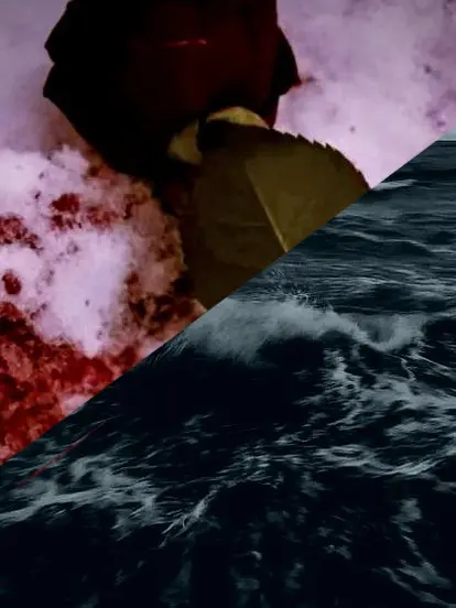 Ilovelimbus의 どっちが好き？