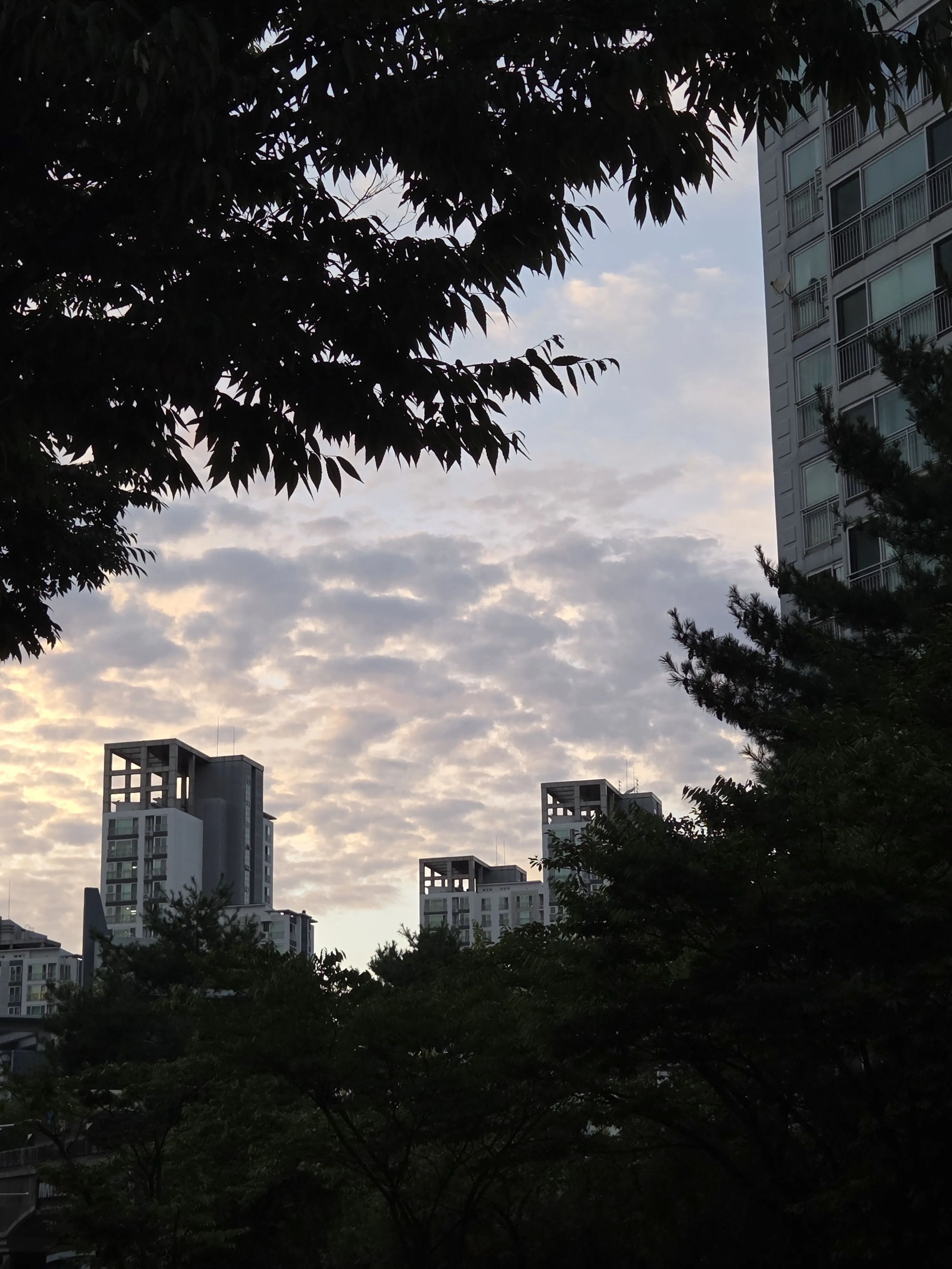 black_orange의 유서한