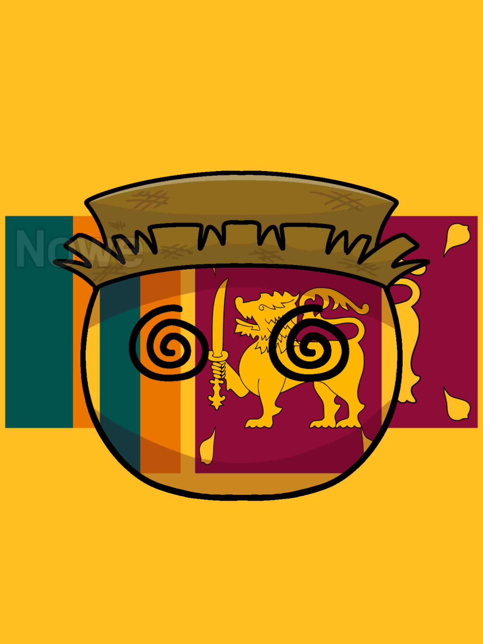 🇱🇰 『스리랑카볼』 🦁 대표 이미지