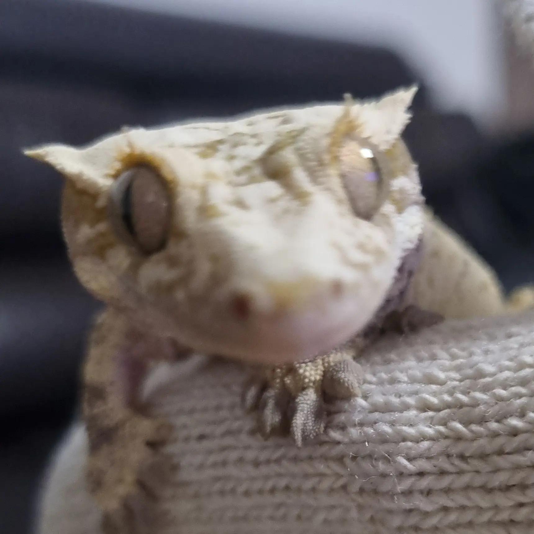 KindMoon2144의 게임즈