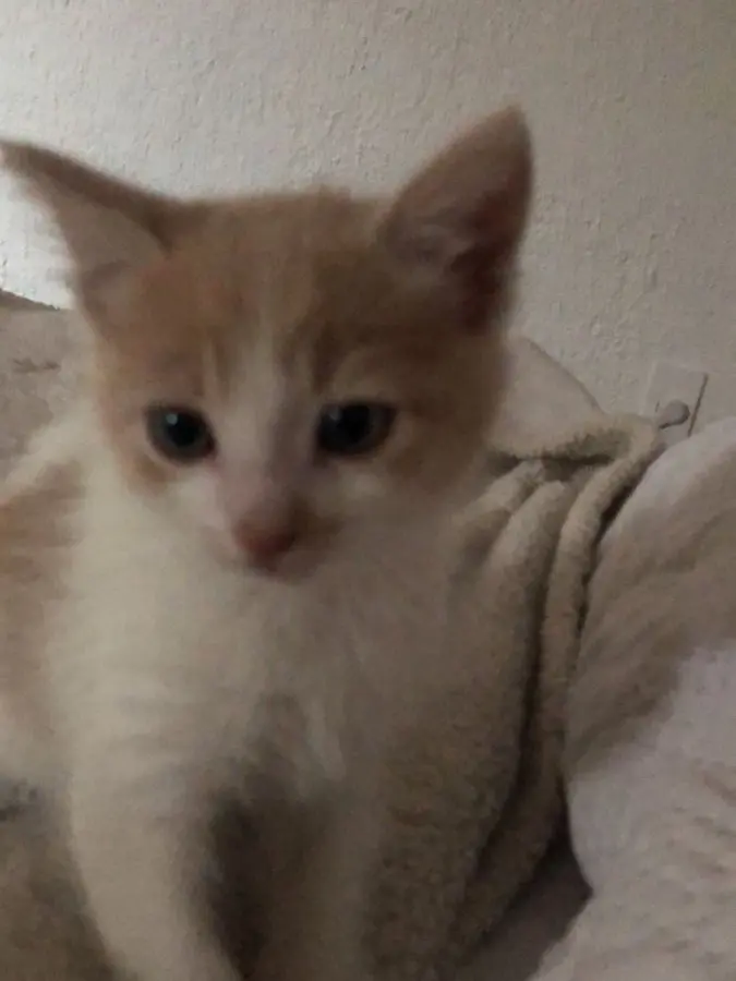 STAYMOON의 츤데레의 정석 , 이 민호 .