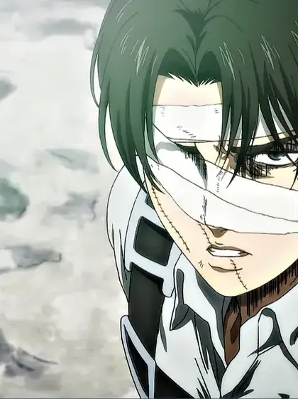 goinghome의 리바이 아커만