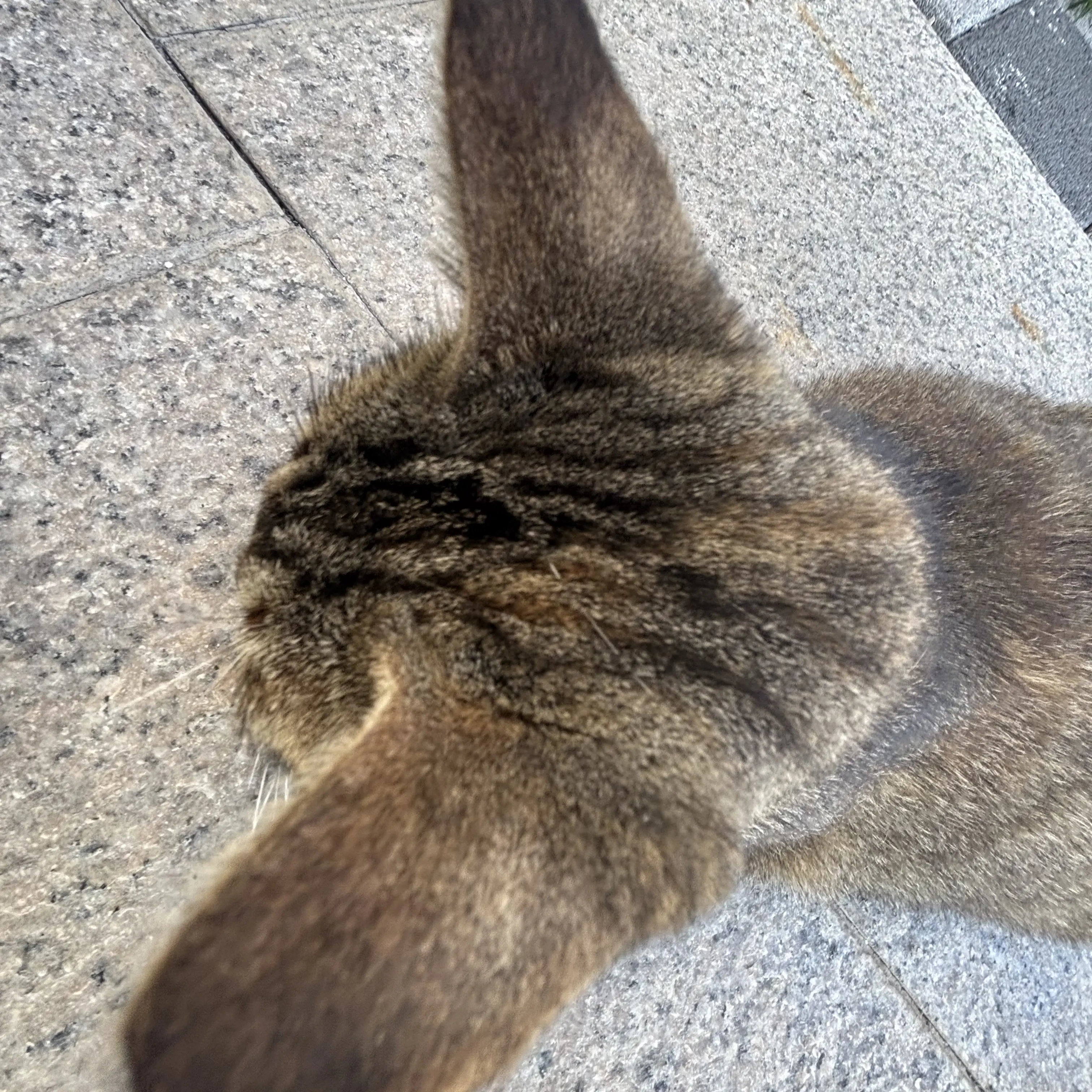 Wo.nu_jeon의 쩌눠누