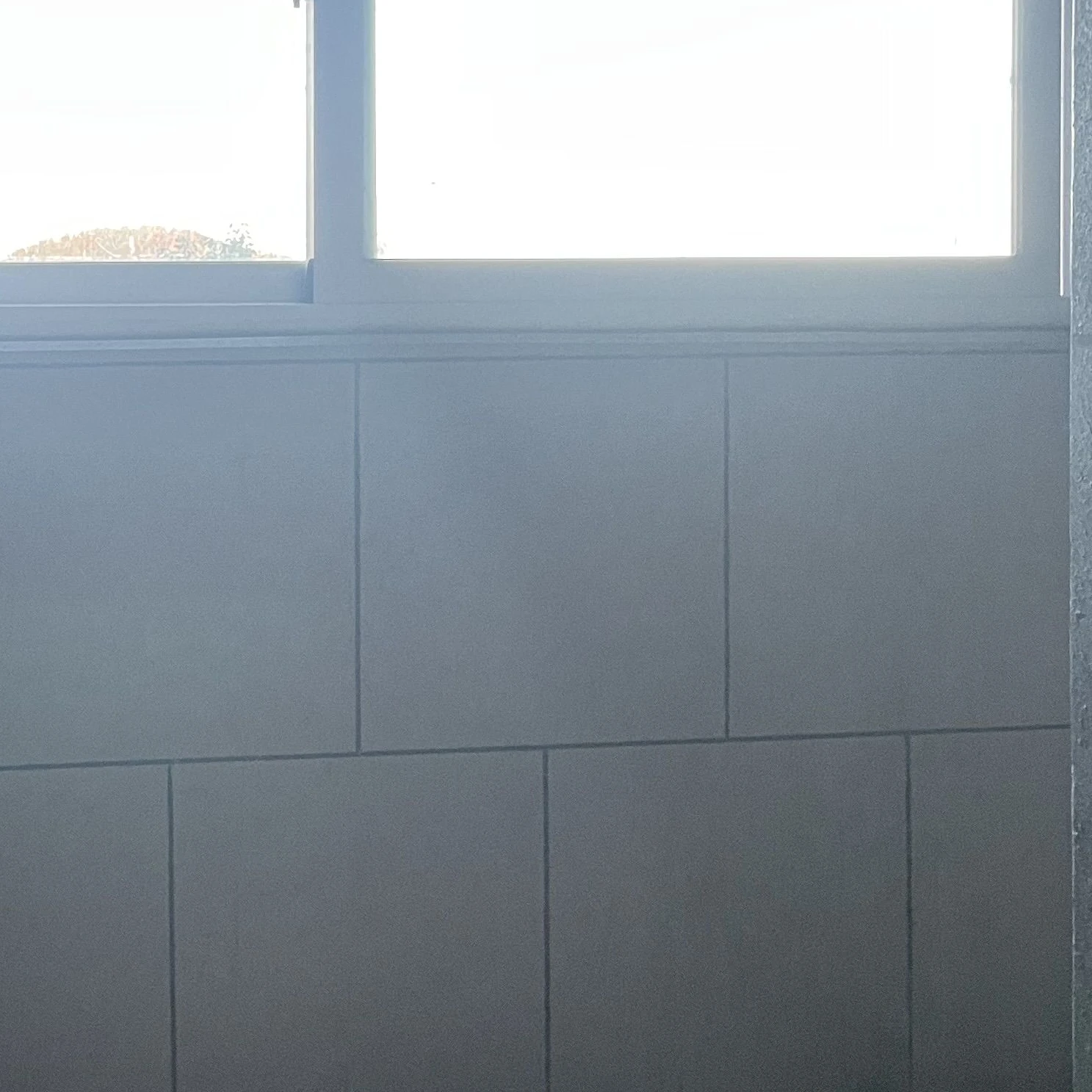 걍 물고기들인데, 똑똑해서 말을한다?