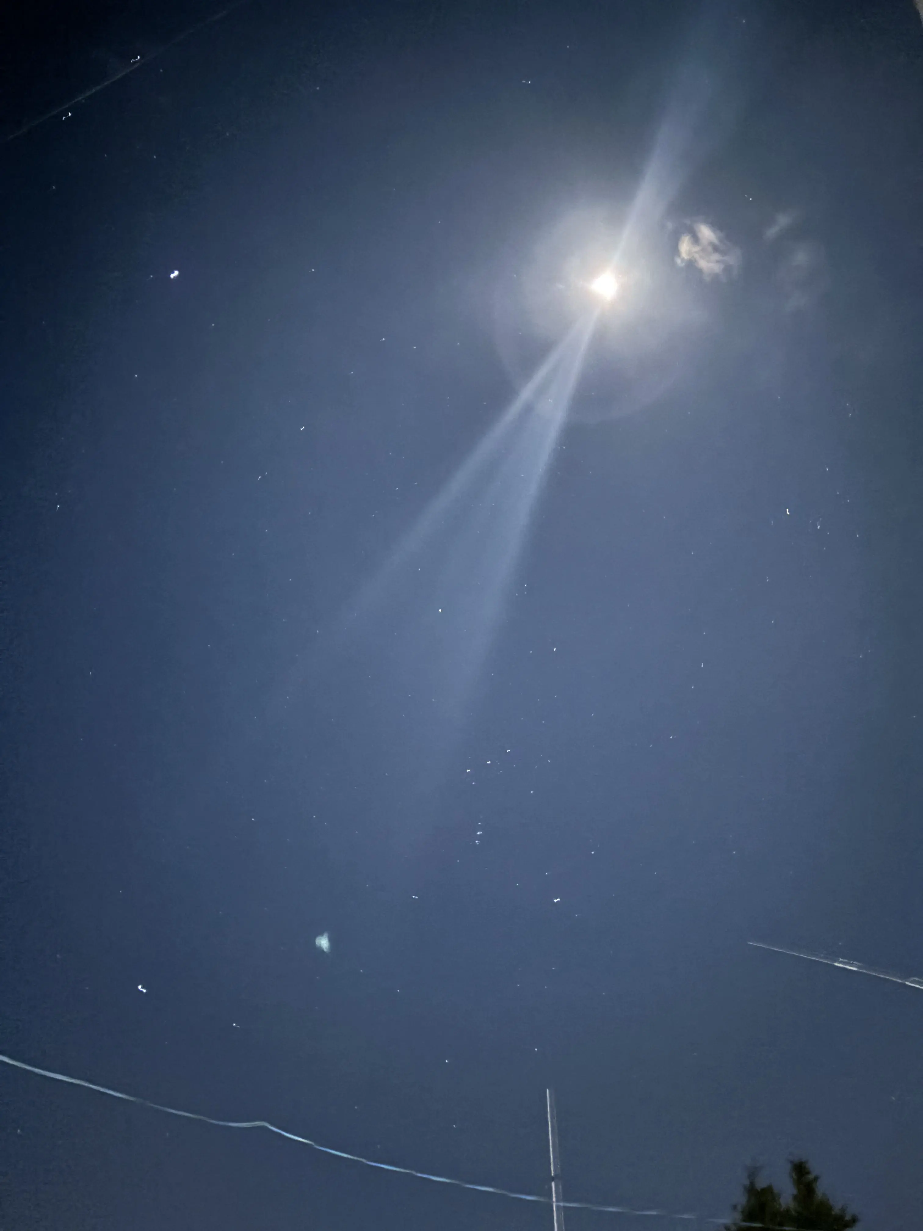 GrumpySale4160의 死にたがりを止めるFu