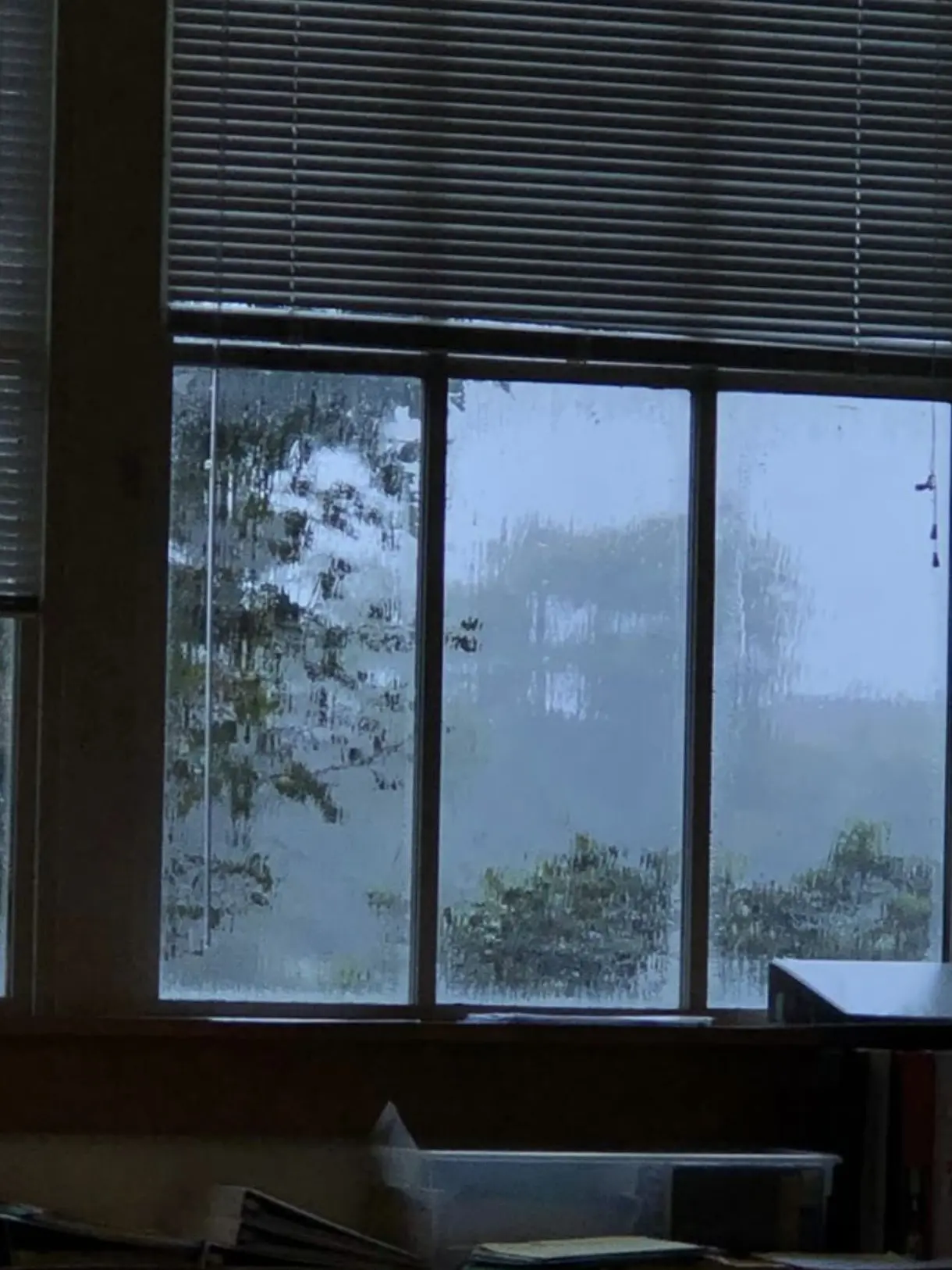 SickVase3968의 Thunderstorm at school!
