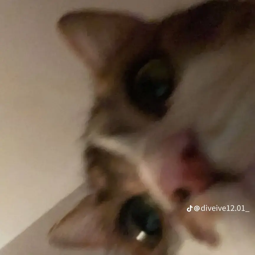 RunnyMop4244의 리바이&한지&유저 셋의 동거이야기