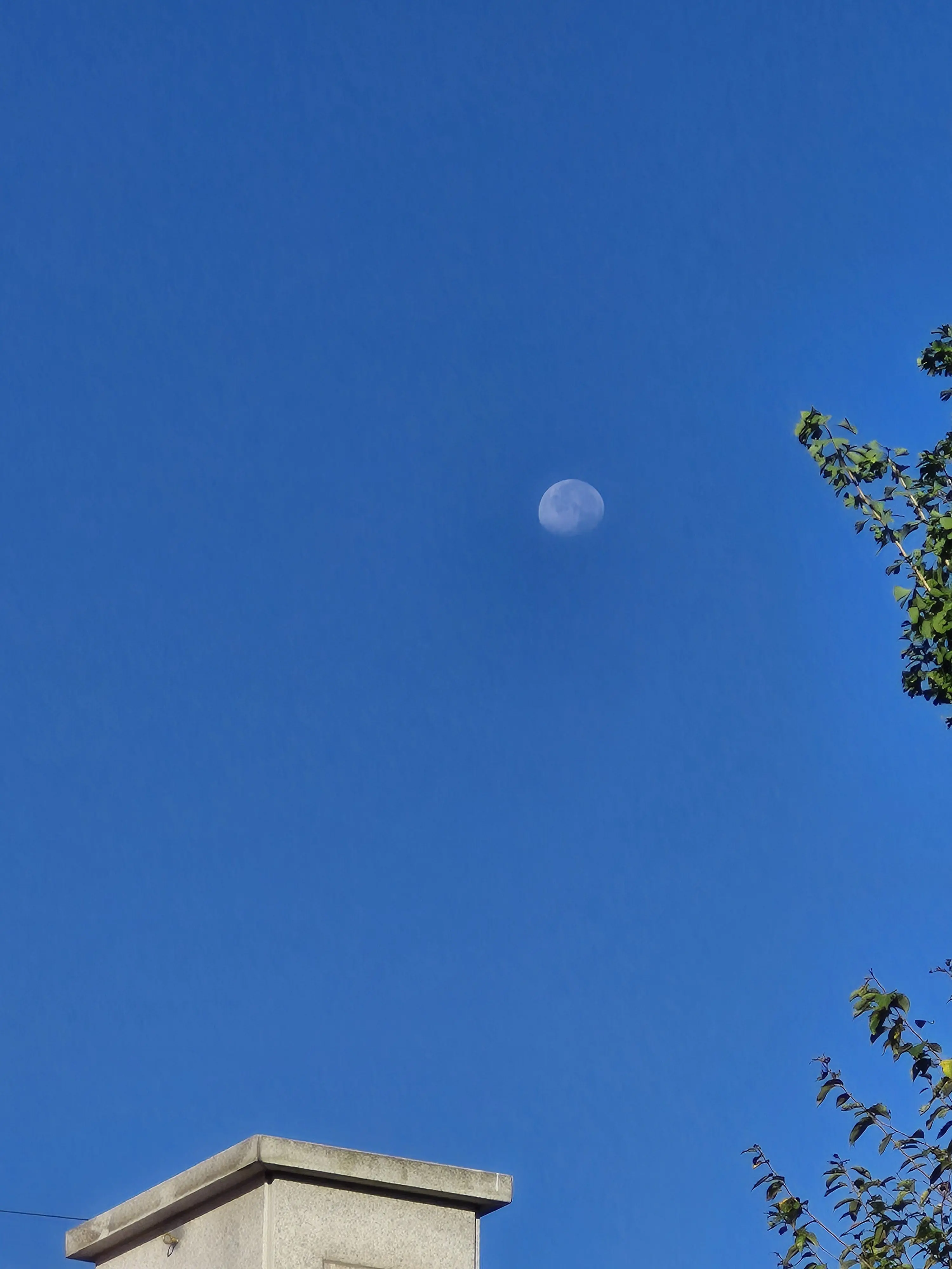 abs_-.의 고민을 사드립니다.