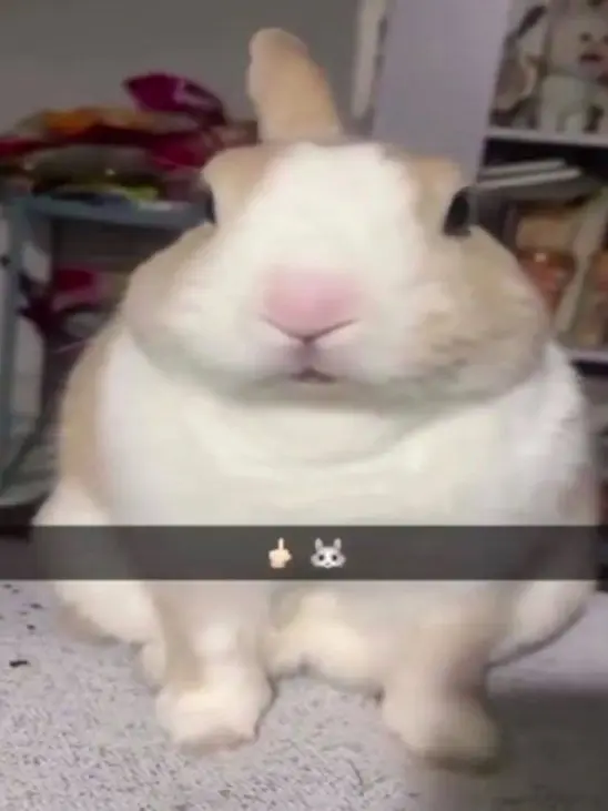 ch0c0l4t3의 気弱なムチムチさん
