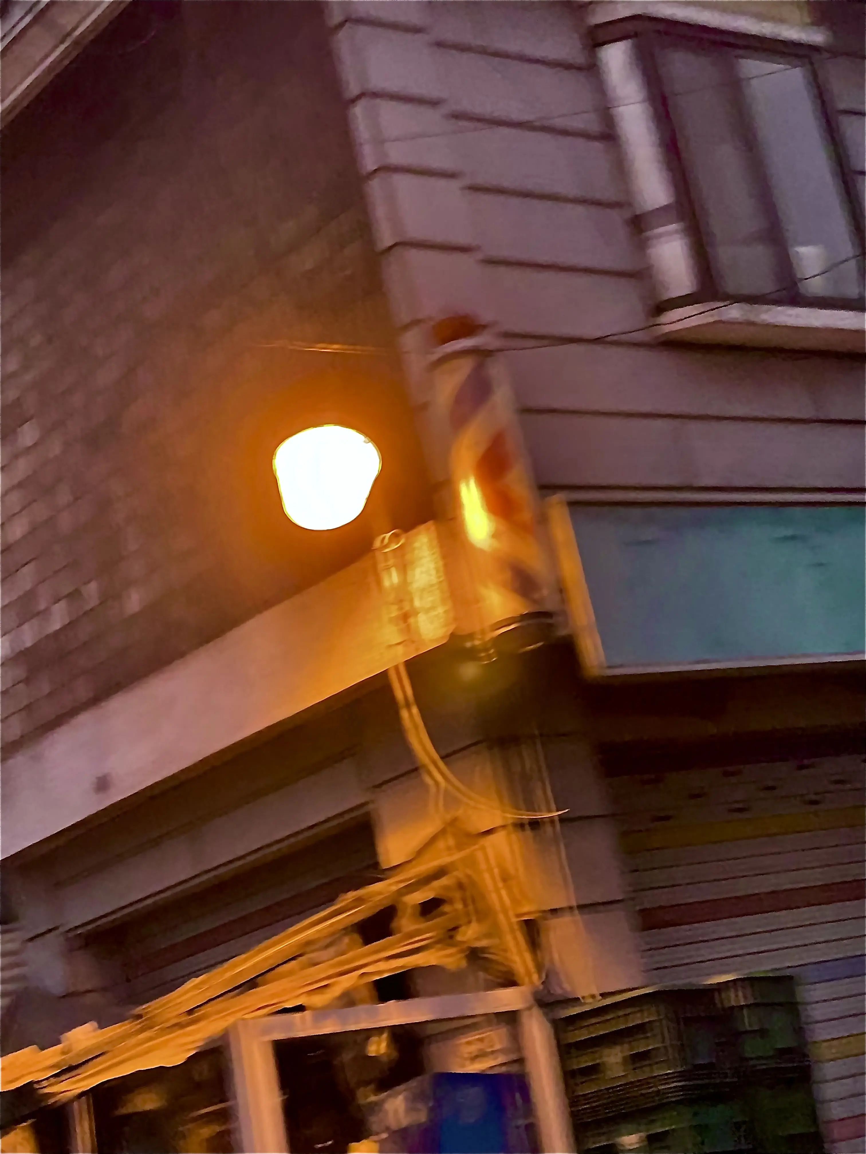 B-Fallow_and_play-L의 내 친구는 무통각증이다.