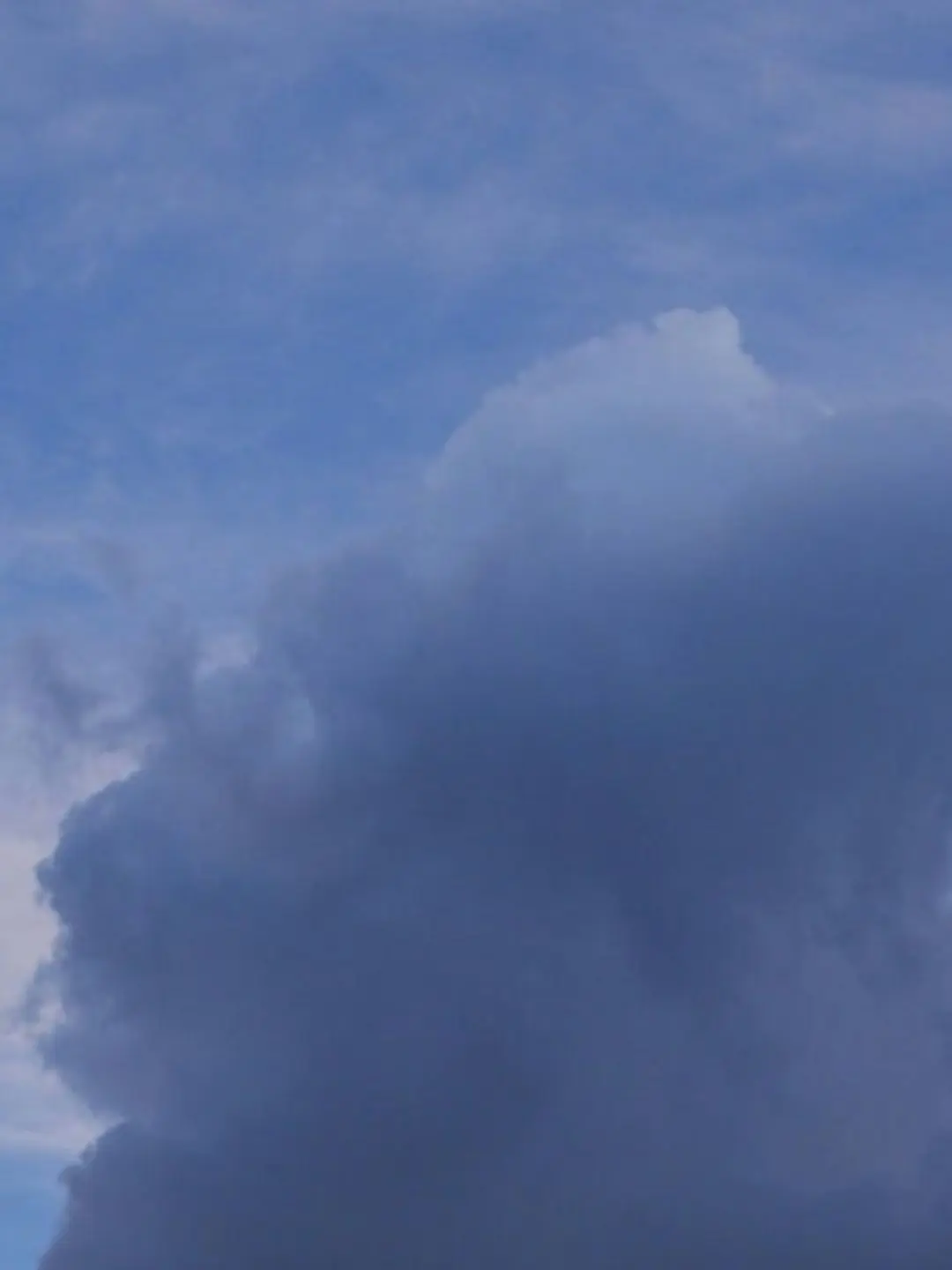 LowFork2000의 미스터리 수사반(여우 포함)