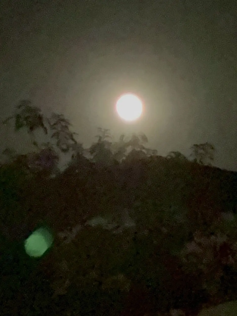 WiryVise2394의 待って！そんなの聞いてない!!