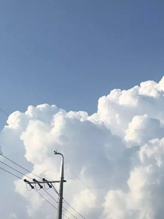 꺼 • 내 • 줘!! 대표 이미지