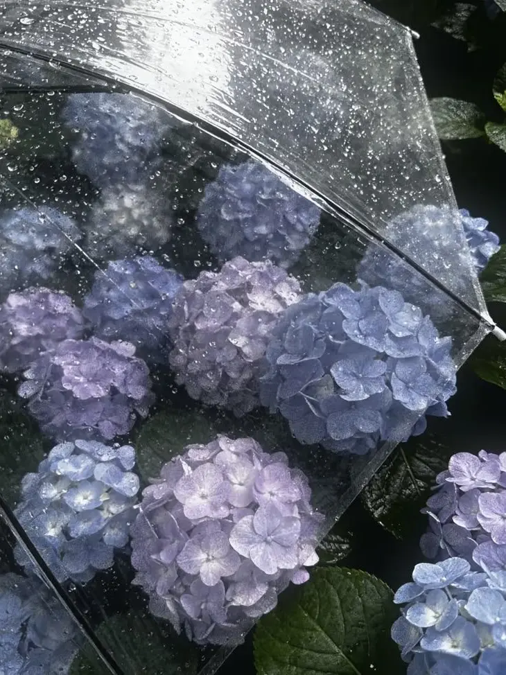 0451.의 ⛈️ 너는 천재, 나는 바보