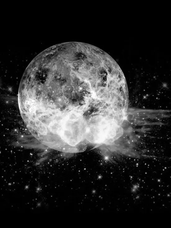 onedoor_moa의 개인용