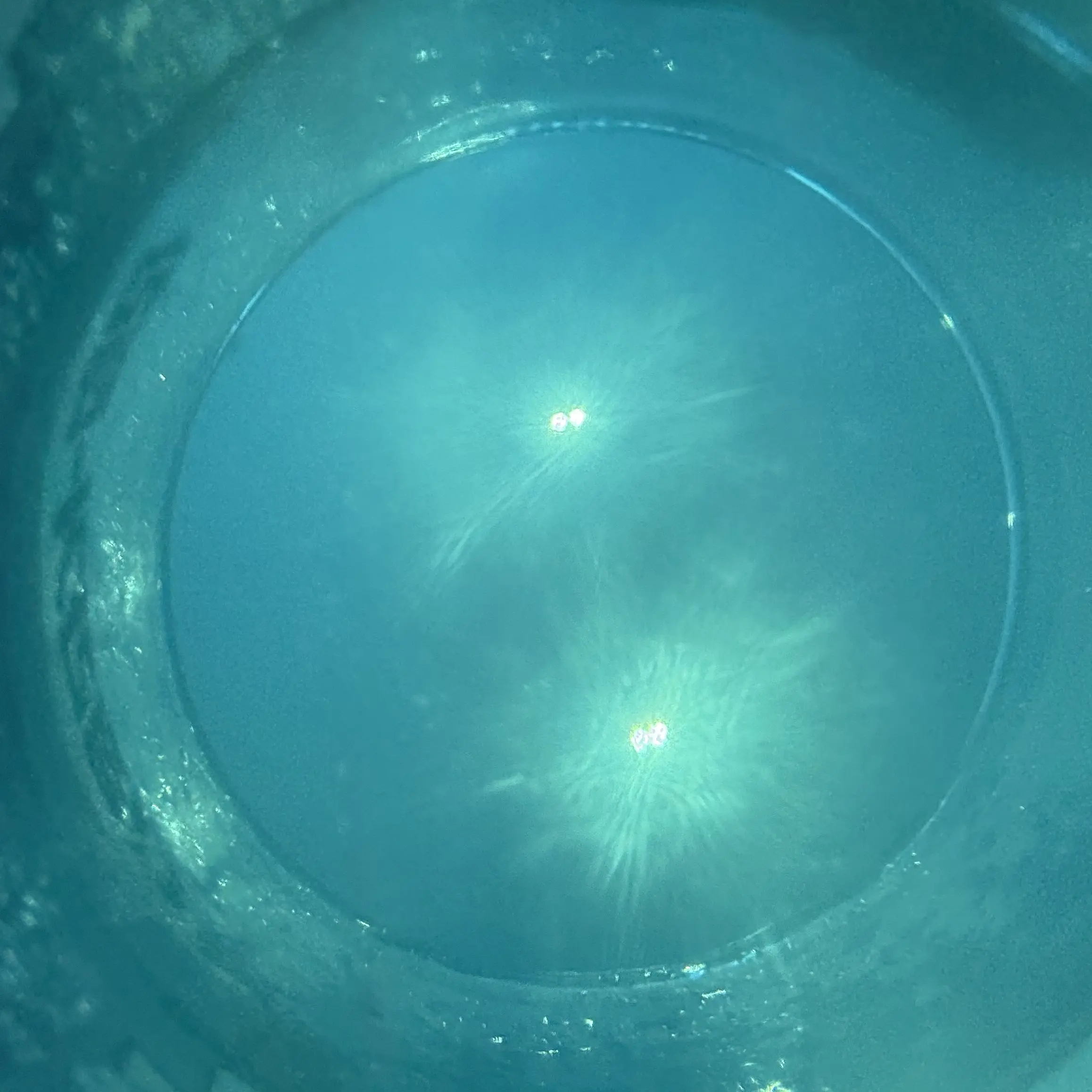 shibam_quang의 ᭙ꪖꪹ ꪖ᭢ᦔ ꪉỉꪹᦔ