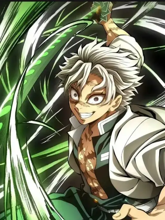 RacialOil3989의 스나즈가와 사네미