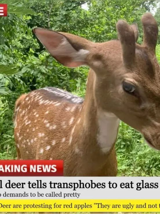 PortlyFiles7097의 World rp