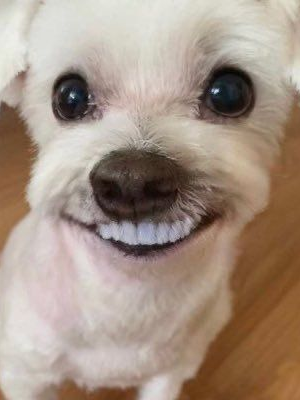 주토피아(사심작🐰🦊) 대표 이미지