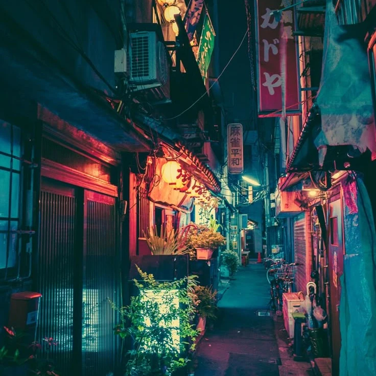 백일몽