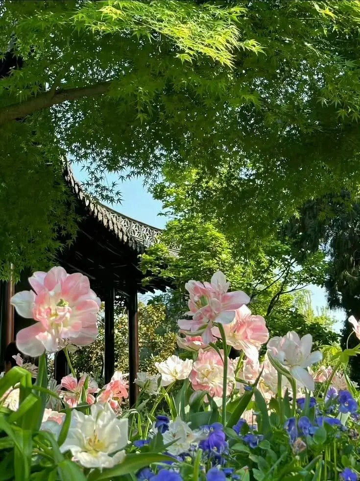 Blda115의 구렁이 신선비님