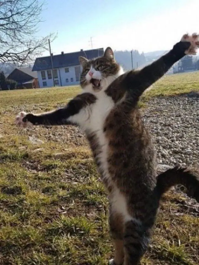 GrumpyMedal1111의 自分用なので使用禁止