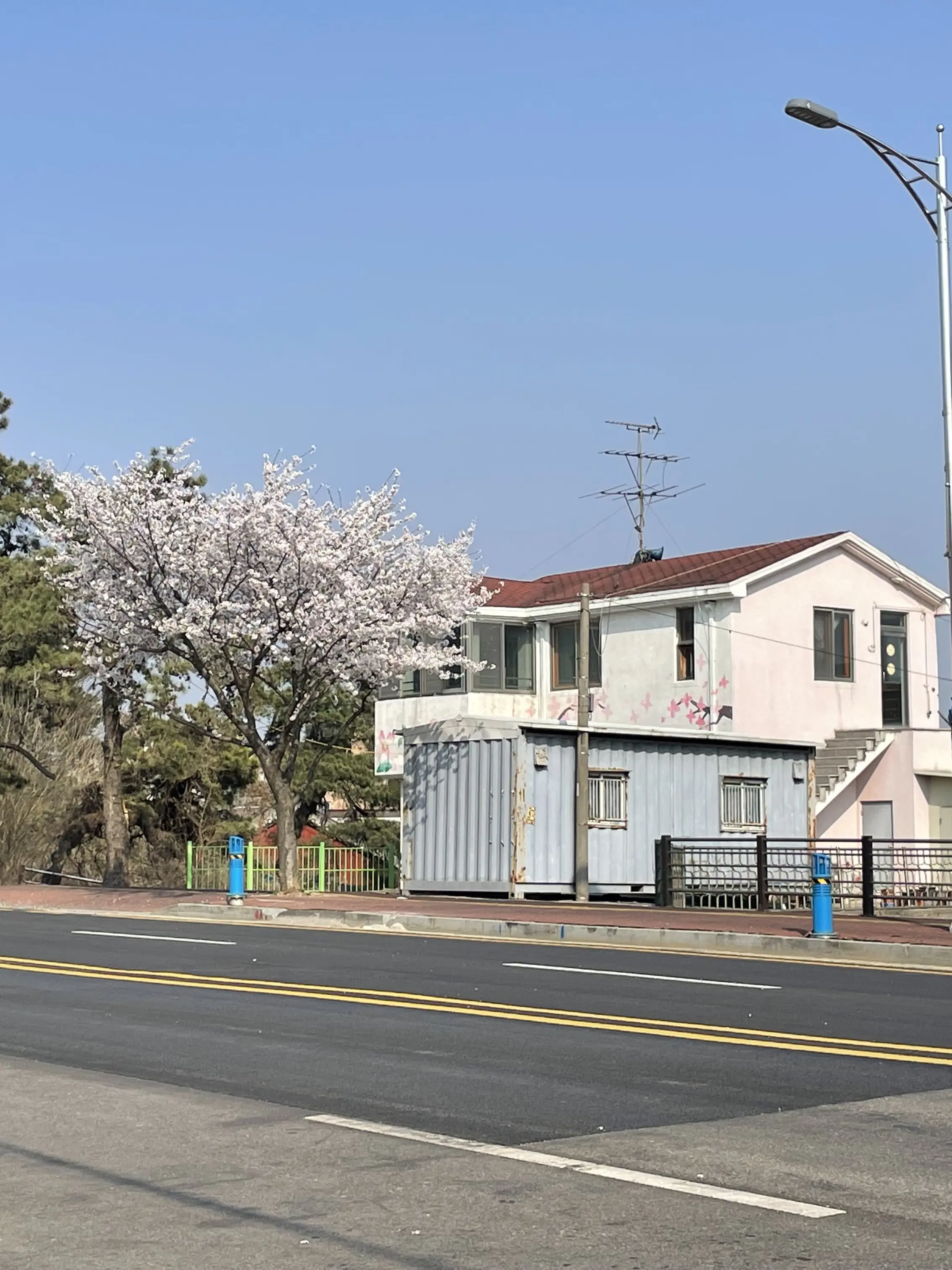 FeebleScale2541의 배달배